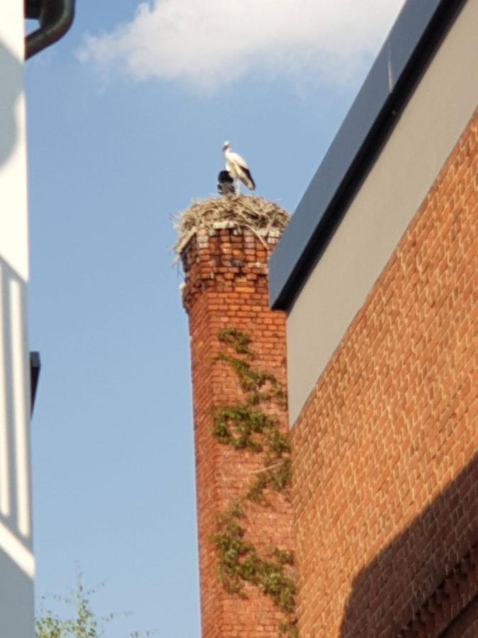 Ferienwohnung Am Rathaus Tangermünde Dış mekan fotoğraf